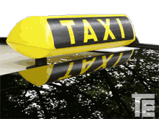 TE Taxischild